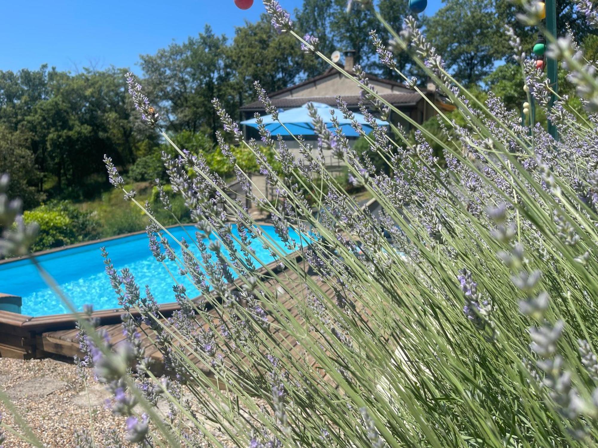 Le Petit Roquet Hotel Saint-Lazare Eksteriør billede